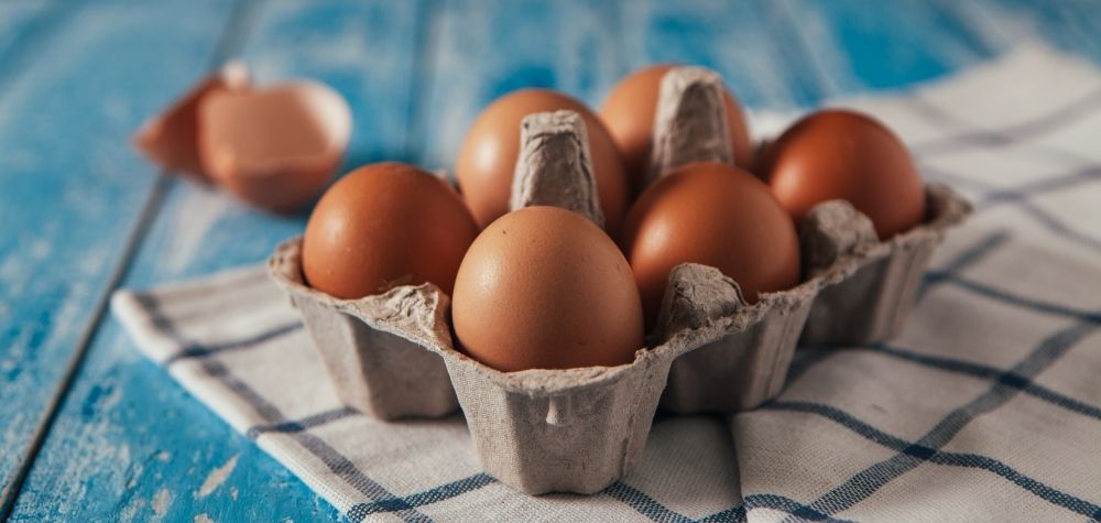 Crack the Code: How to Sell Your Eggs in Massachusetts