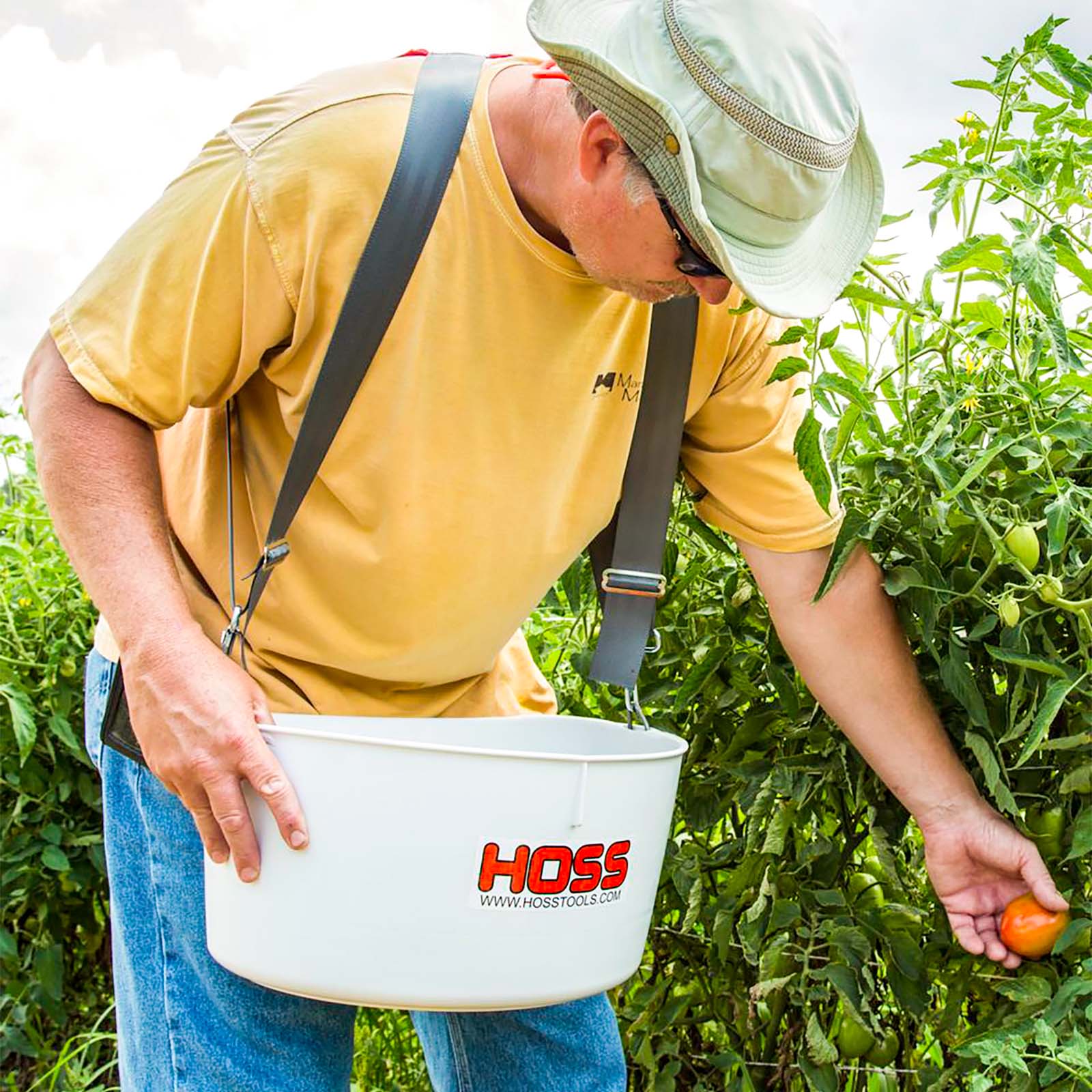 Maximizing Your Strawberry Harvest: When to Plant in Massachusetts