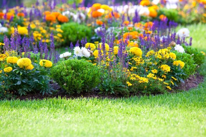 When Does Grass Start Growing in Massachusetts