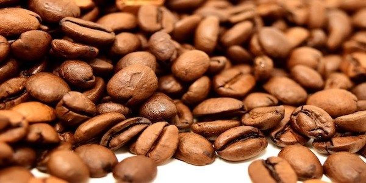 Hawaiian Coffee Crossword  : Uncover the Secrets of the Bean Puzzle